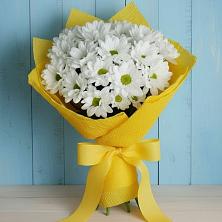 Букет цветов из:  Хризантемы в Ковдоре