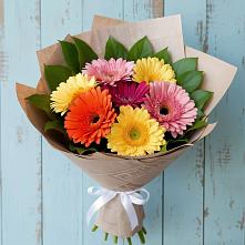 Букет цветов из:  Герберы #REPLACE_PRED# Ковдоре