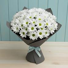 Букет цветов из:  Хризантемы в Ковдоре
