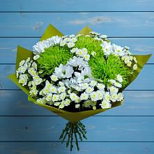 Букет цветов из:  Хризантемы #REPLACE_PRED# Ковдоре