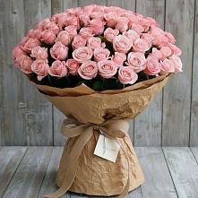 Букет 151 Роза Роуз #REPLACE_PRED# Ковдоре