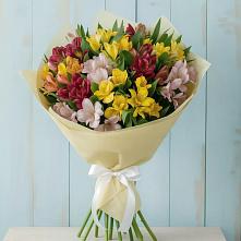 Букет цветов из:  Альстромерии в Ковдоре