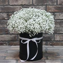 Цветочная композиция из Гипсофила в шляпной коробке в Ковдоре